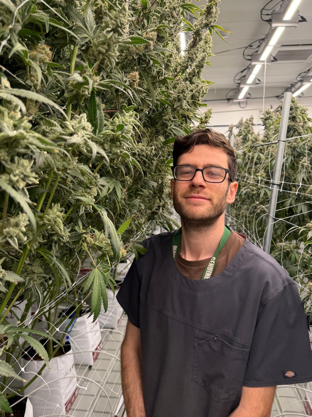 Andrew Marshall, Genuine Grow