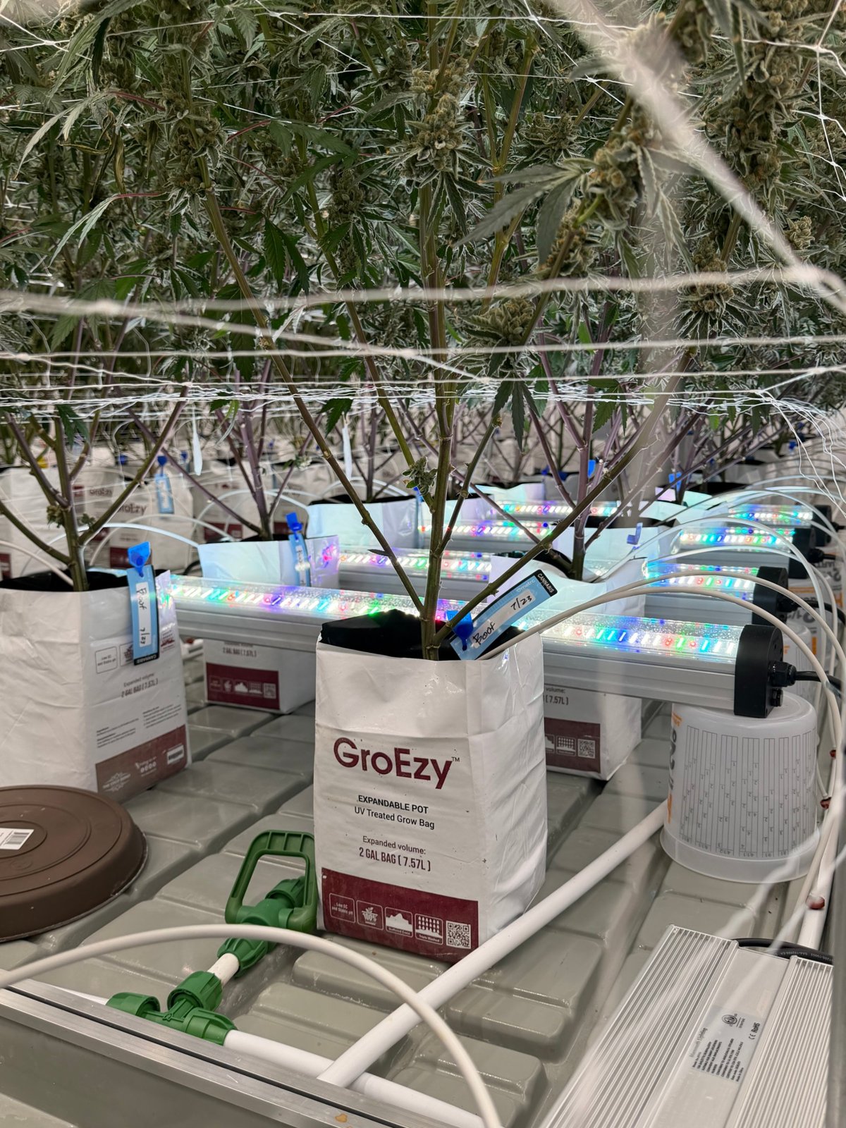 Under-canopy light bars on the Superboof trial bench
