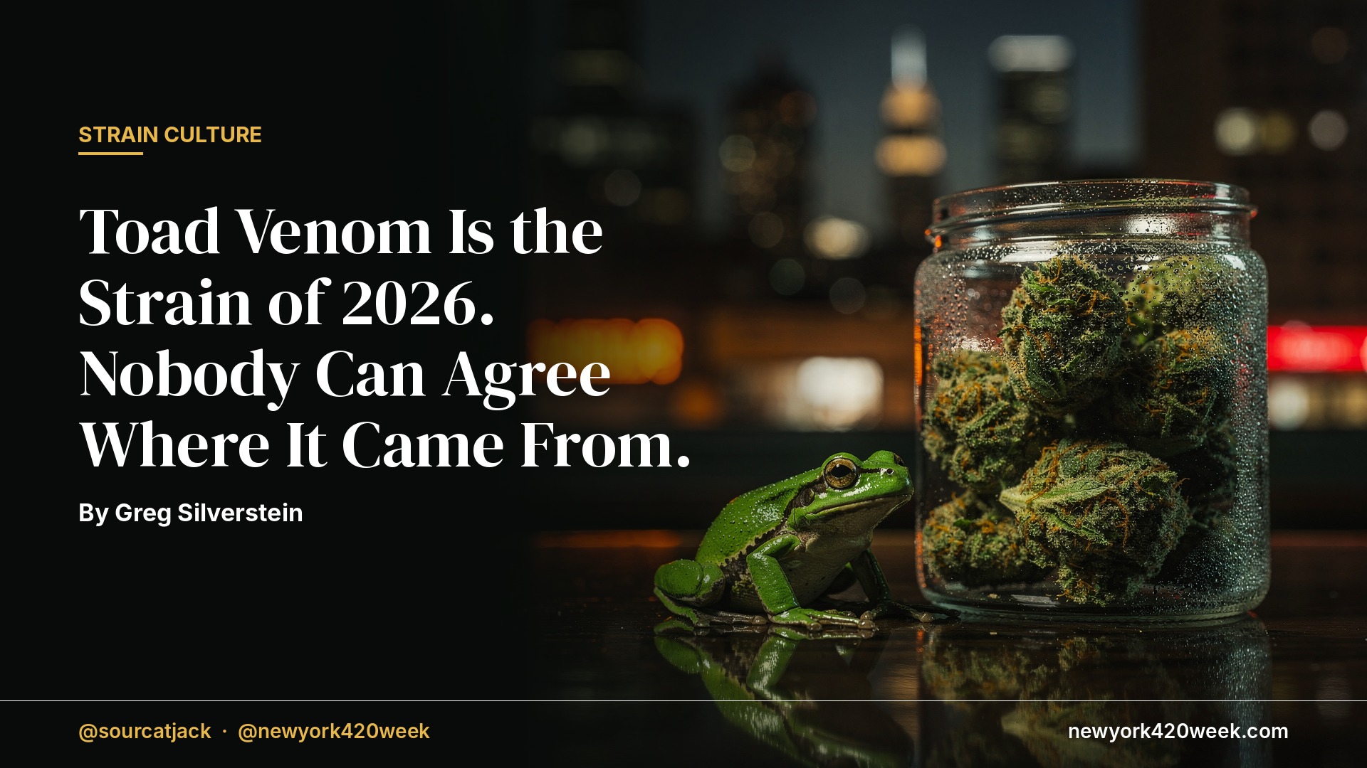 A glass jar of cannabis next to a green frog on a dark counter, with the New York skyline behind it